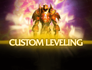1-60 Custom Leveling